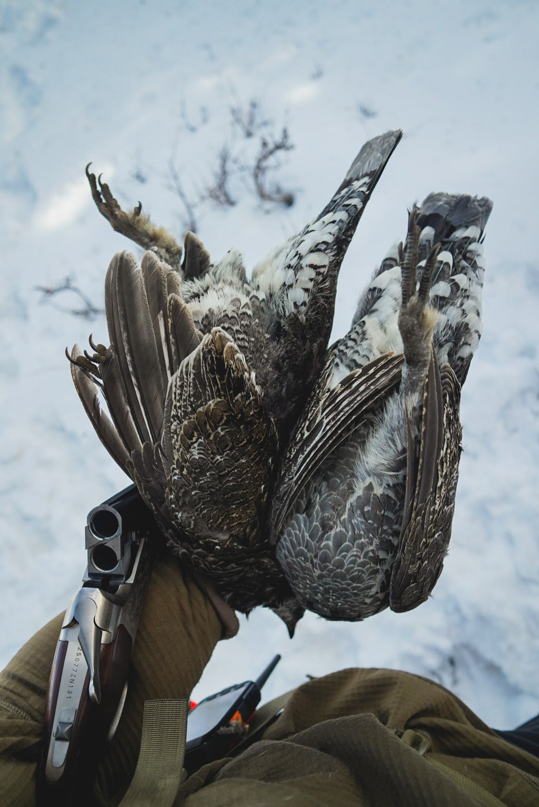 What Is the Best Dusky Grouse Hunting Vest?