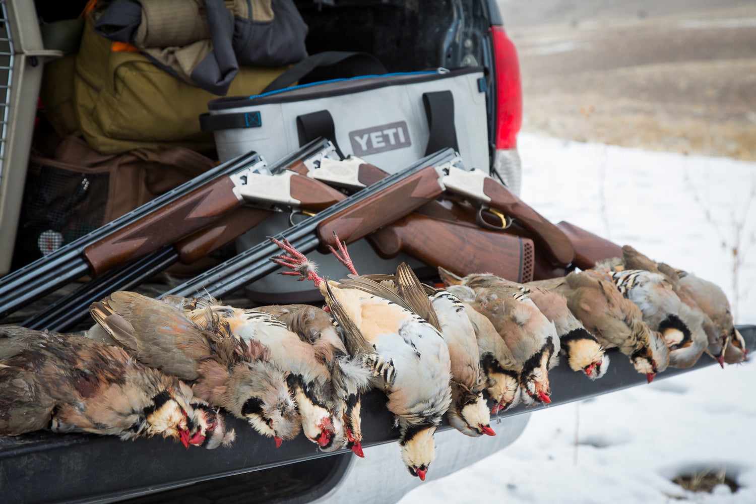 Successful Chukar hunt