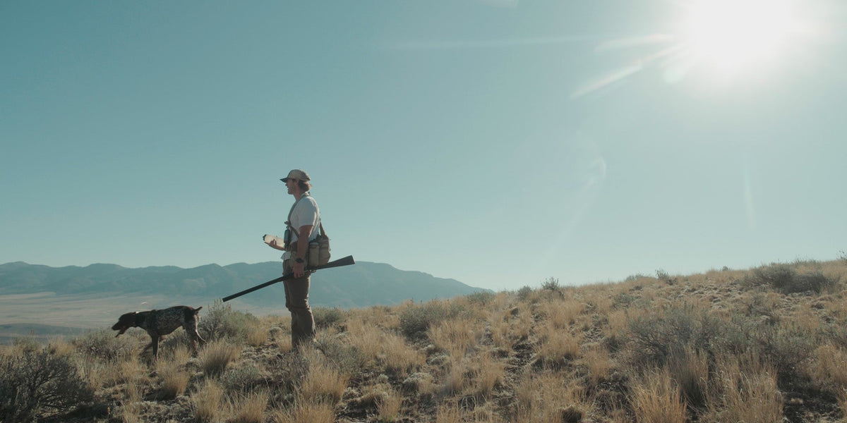 How to Hunt Sharptailed Grouse: The Complete Sharptailed Grouse Hunting Guide
