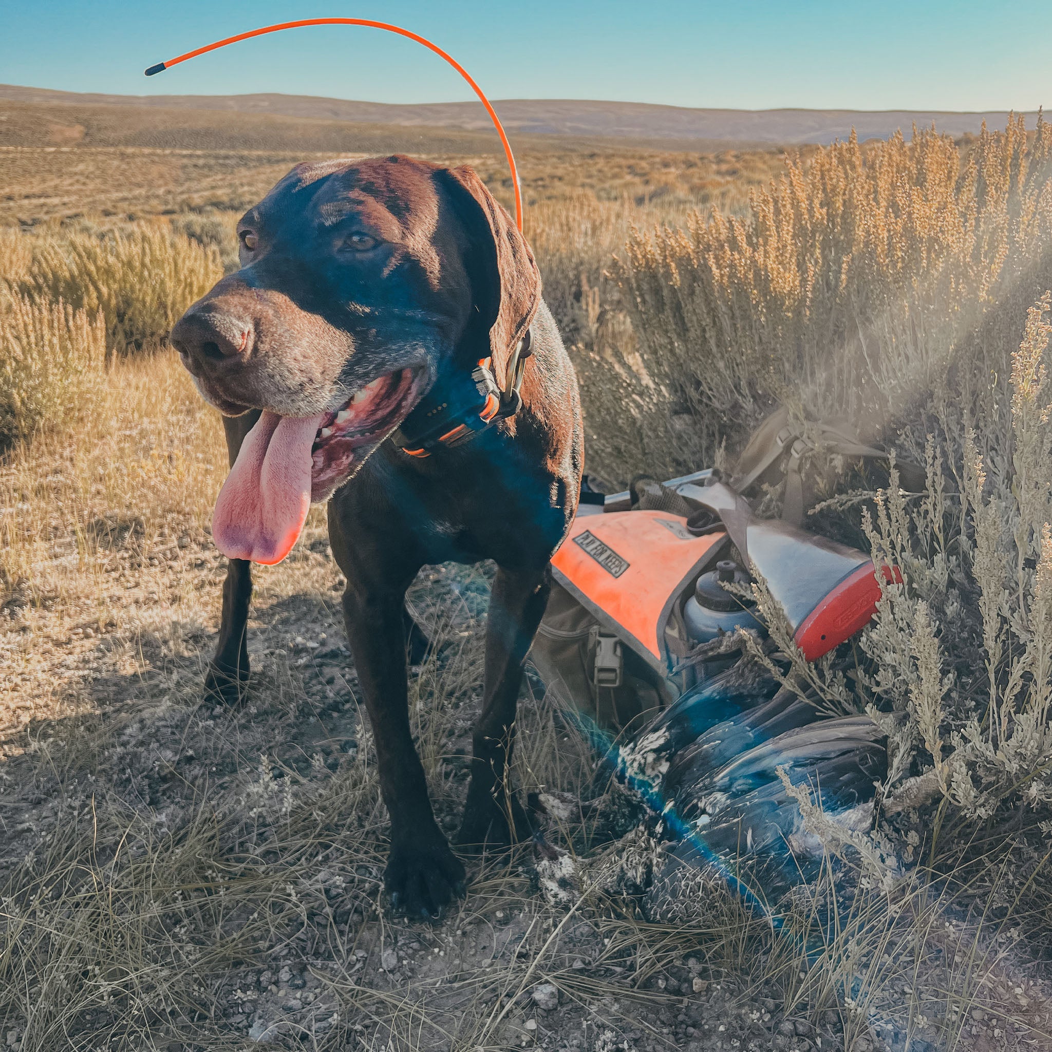 Early Season SUMMIT XT Setup & What We Carry