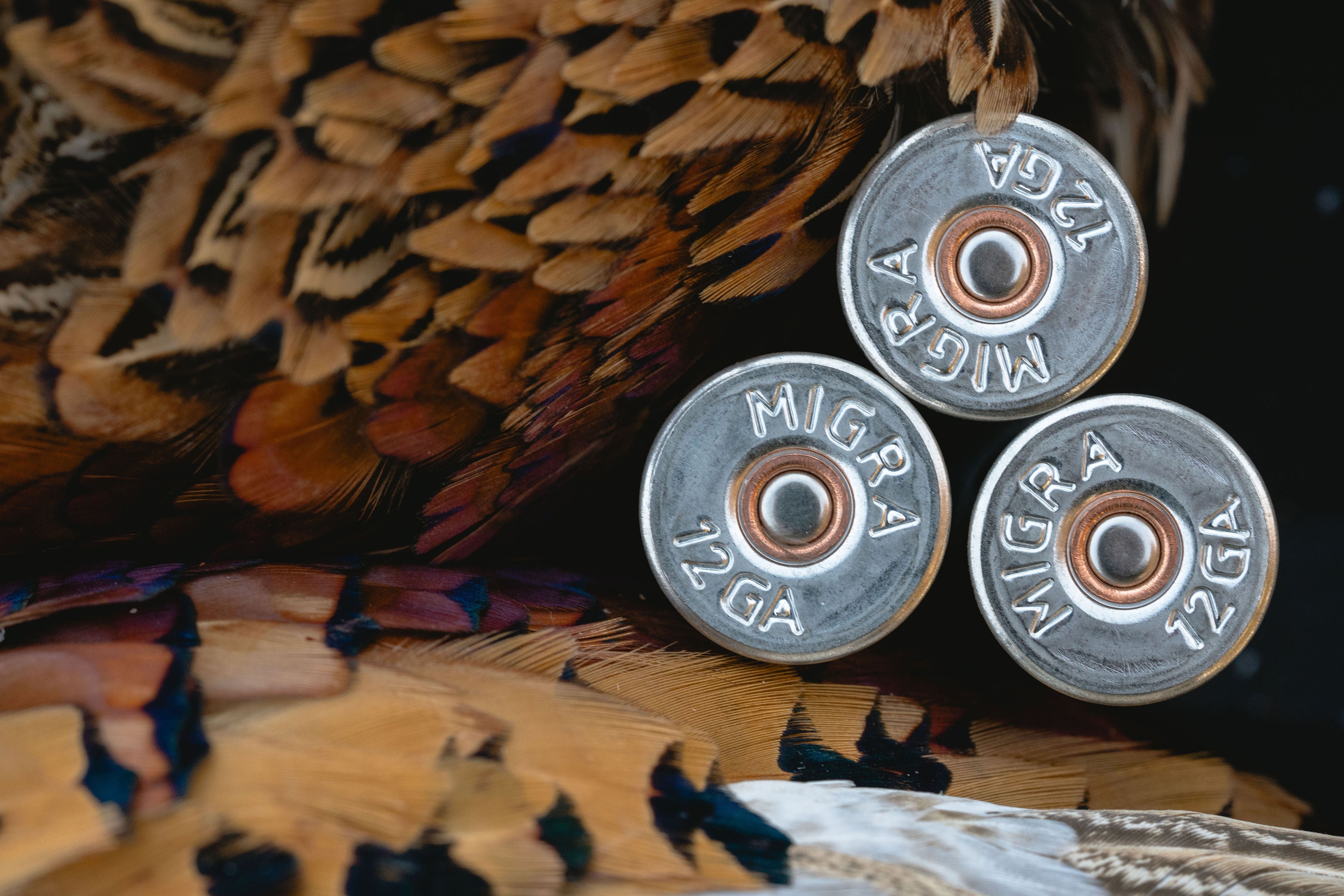 Upland Bird Shot Size Chart - Where Do I Start?