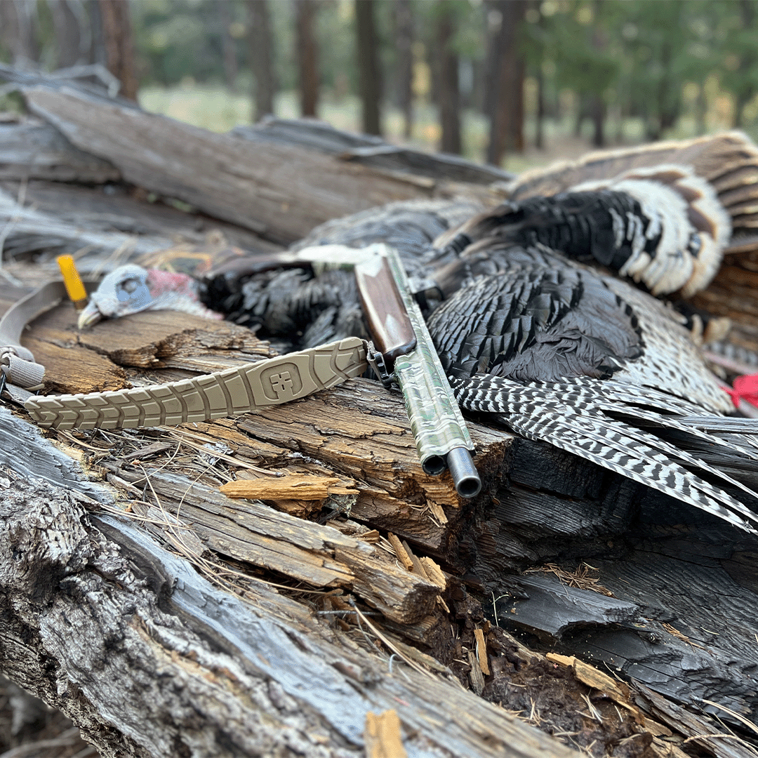 30 Years of Turkey Hunting