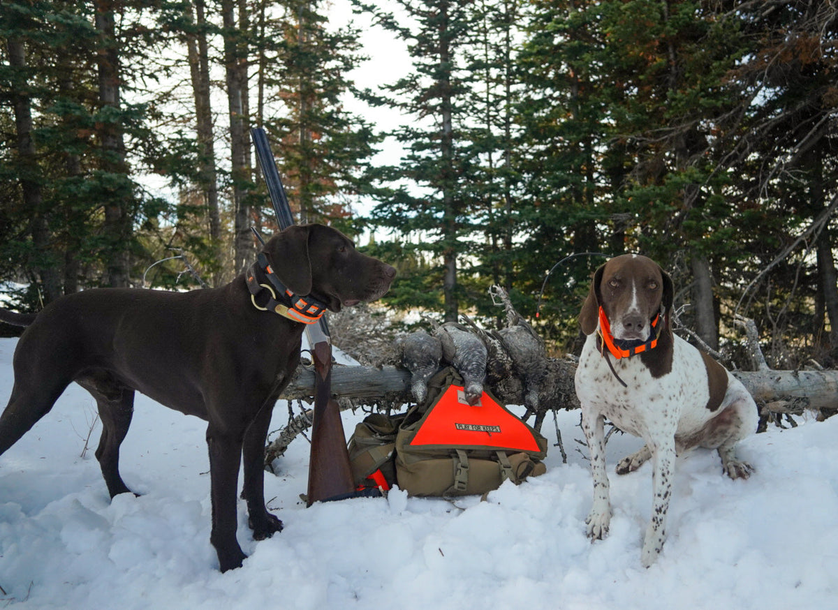 Dusky Grouse Hunting Gear: Complete Checklist