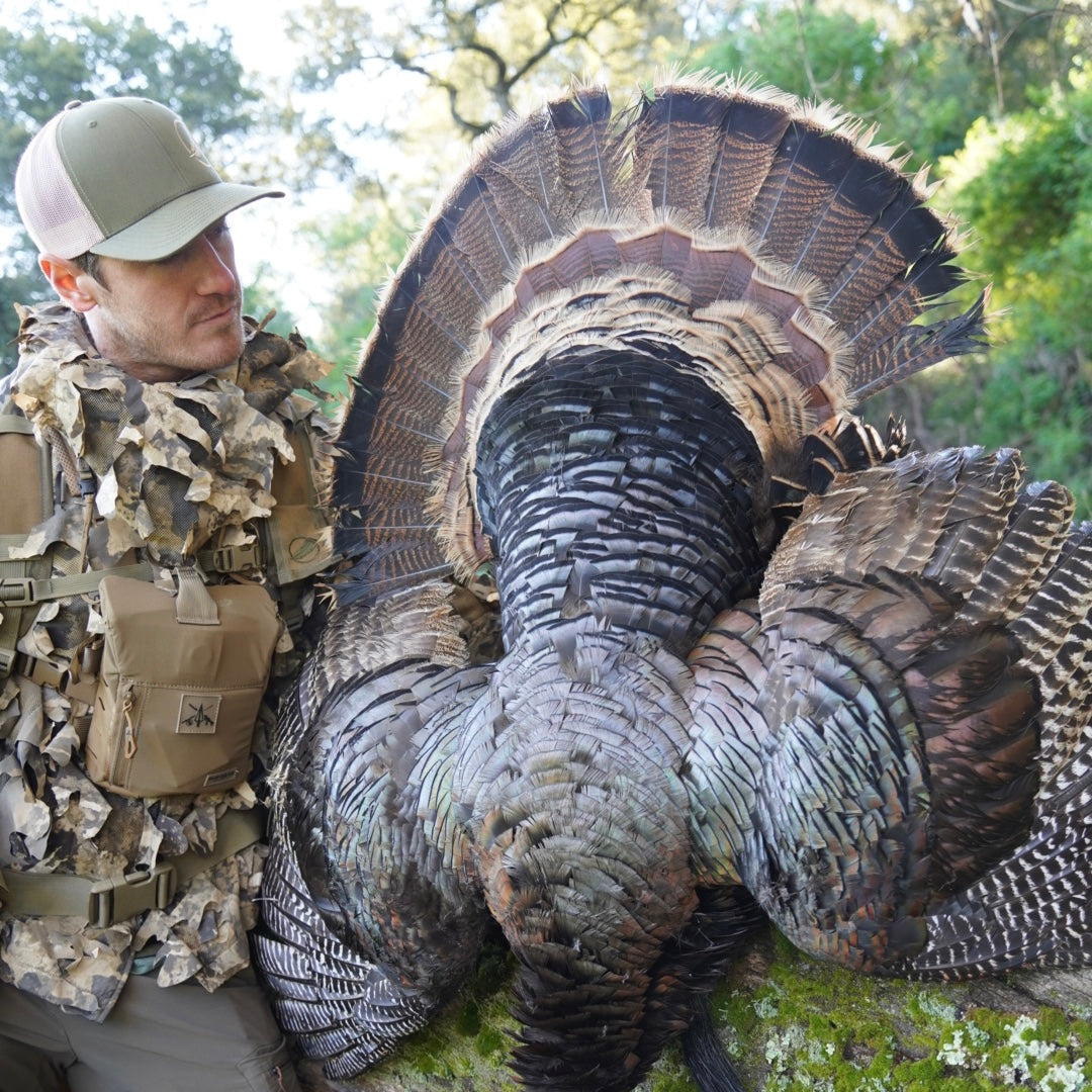 What is the best sight for Turkey hunting?