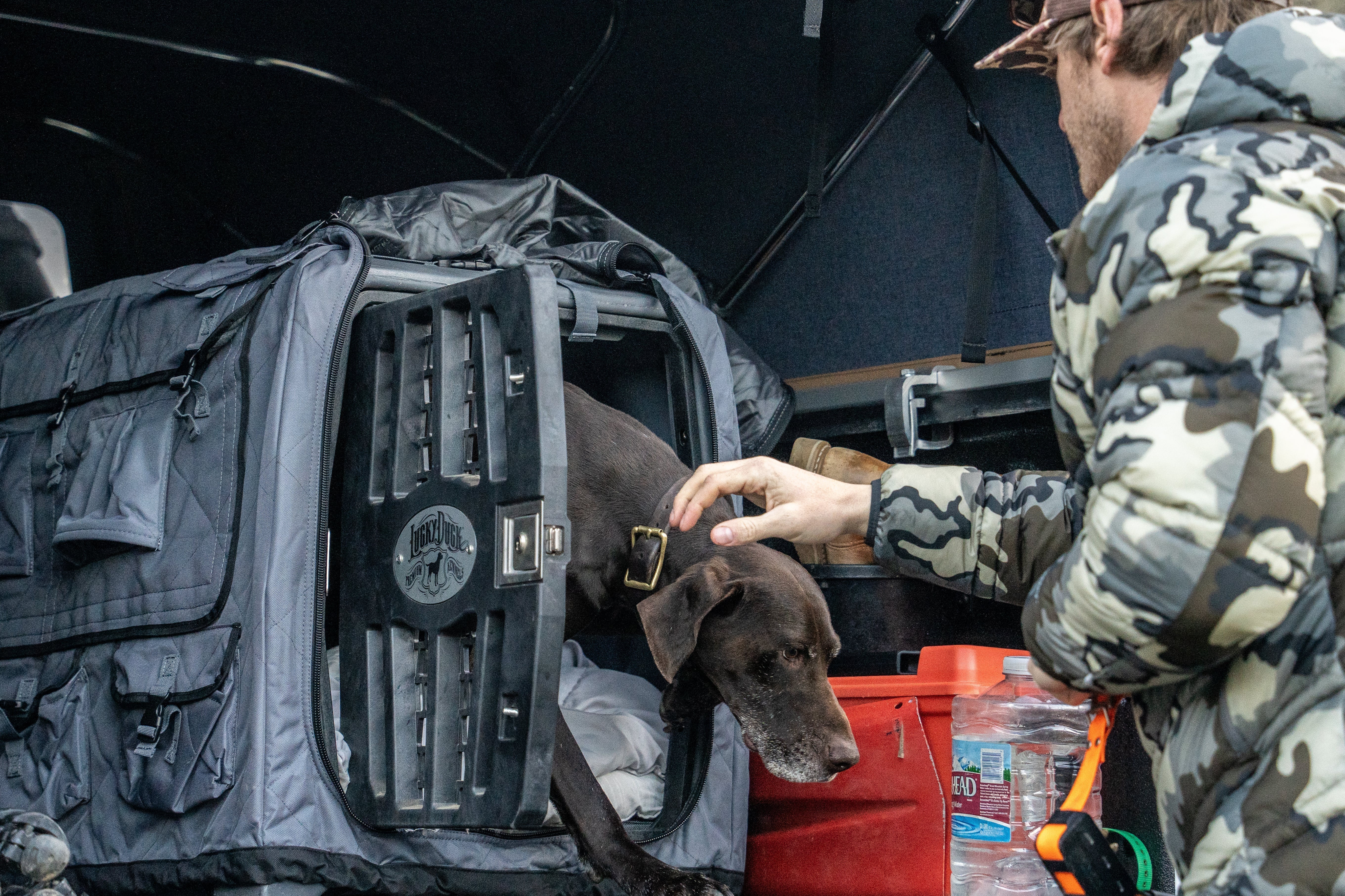 Hunter moving dog out of kennel