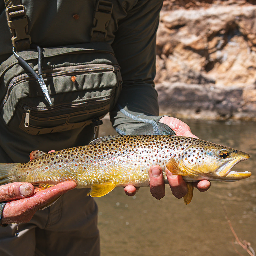 Terrestrial Fly Fishing: How to Fish the Hopper Hatch on Small Streams and Creeks