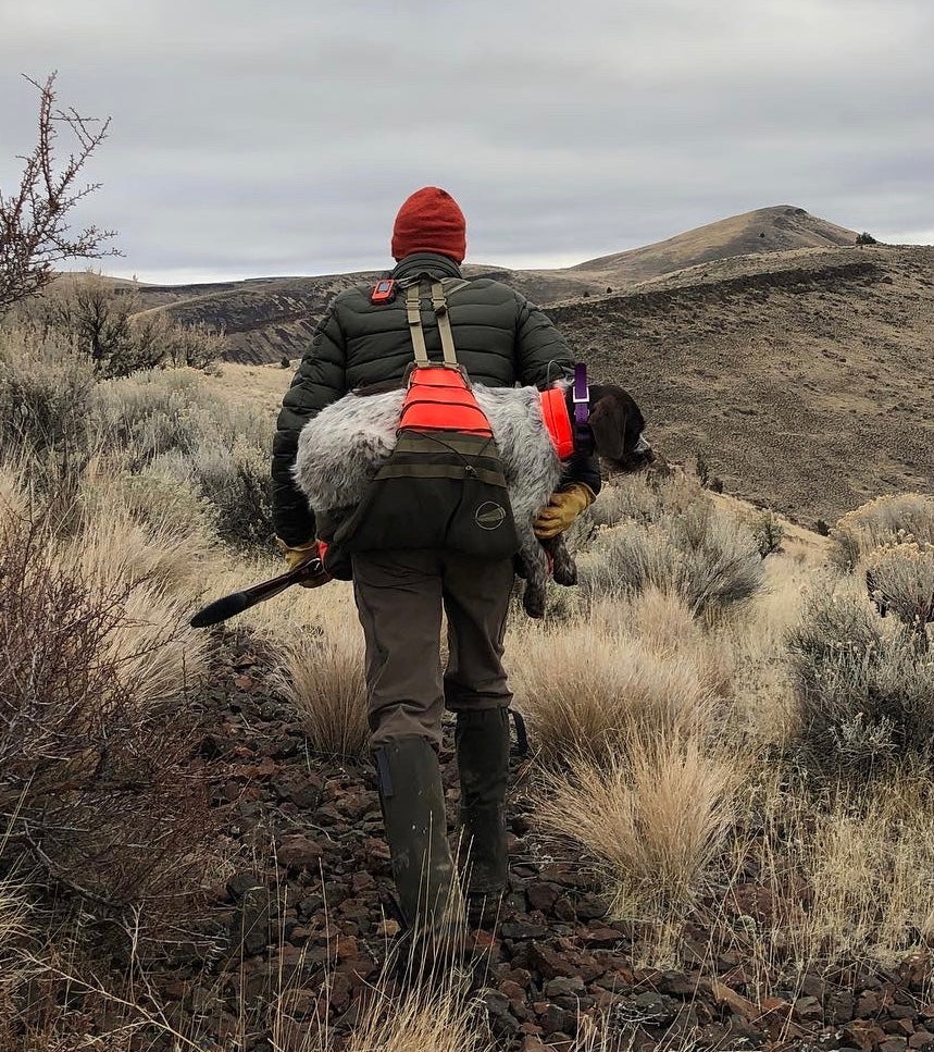How to Carry an Injured Dog Out of the Field: 4 Easy Steps in Your Final Rise Vest