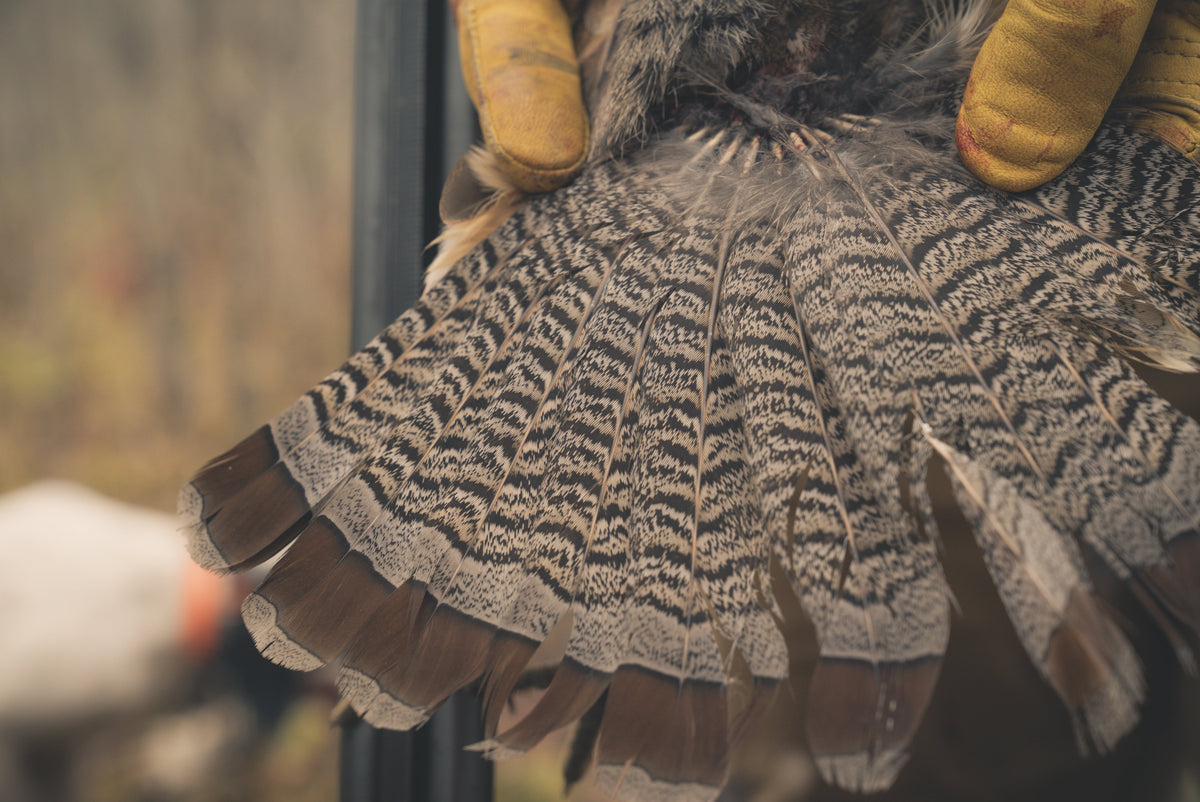 What Is the Best Ruffed Grouse Hunting Vest?