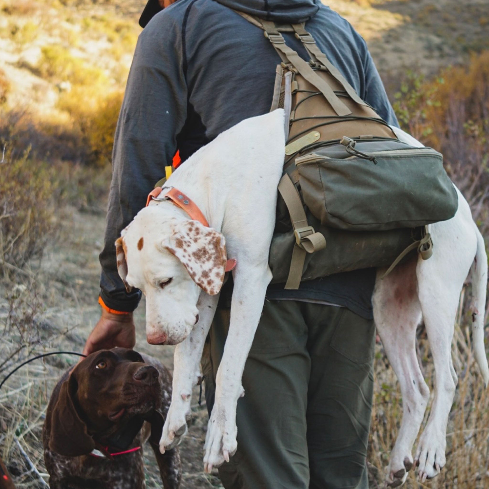 Upland First Aid & Field Preparation