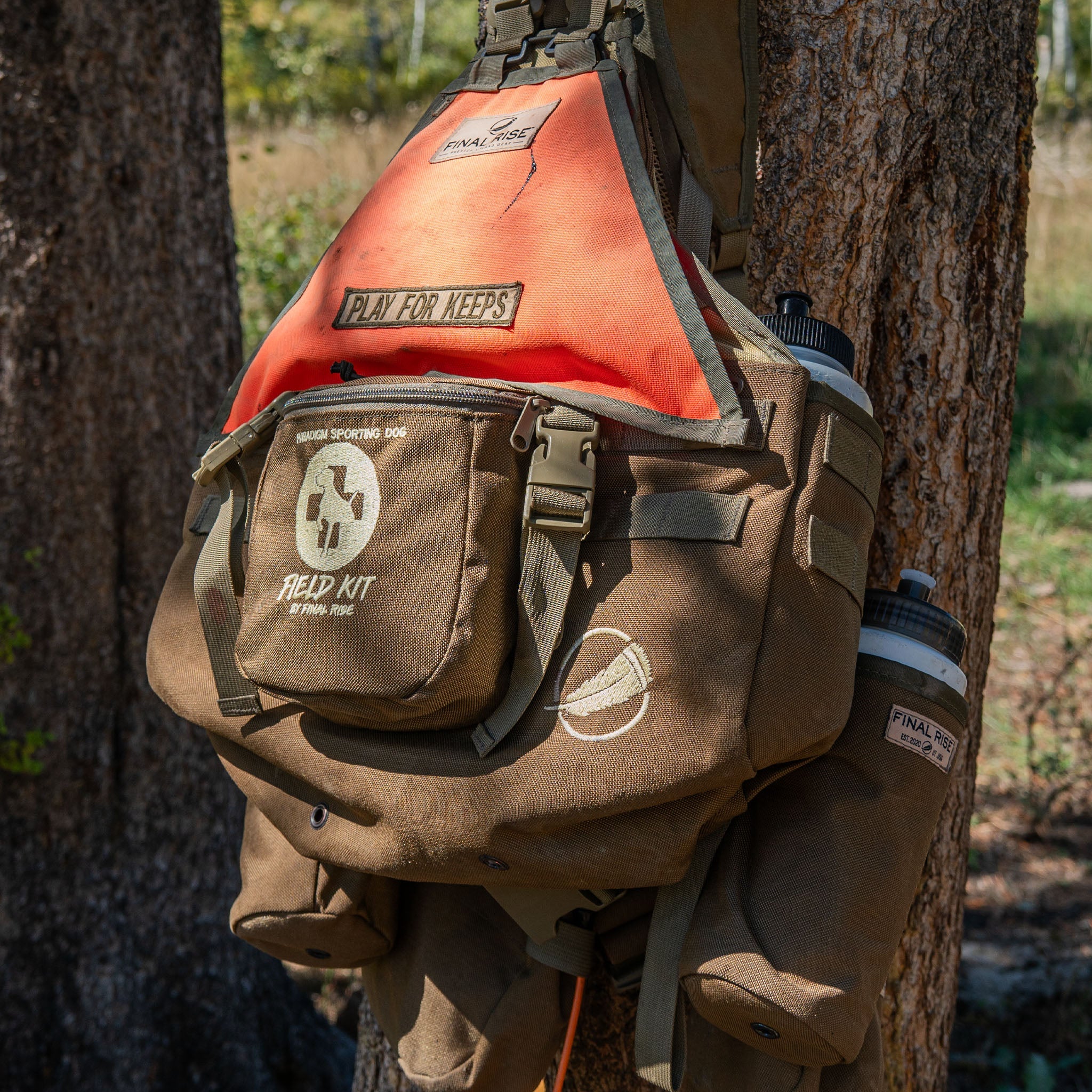 Should You Carry a First Aid Kit for Your Upland Hunting Dog?